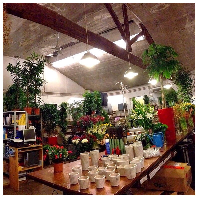 Negozio fiori Vicenza