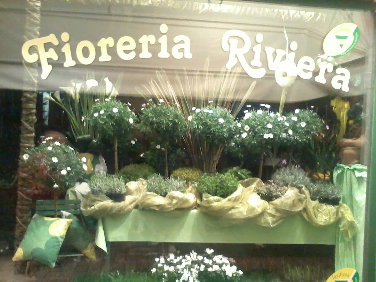 Piante e fiori Vicenza