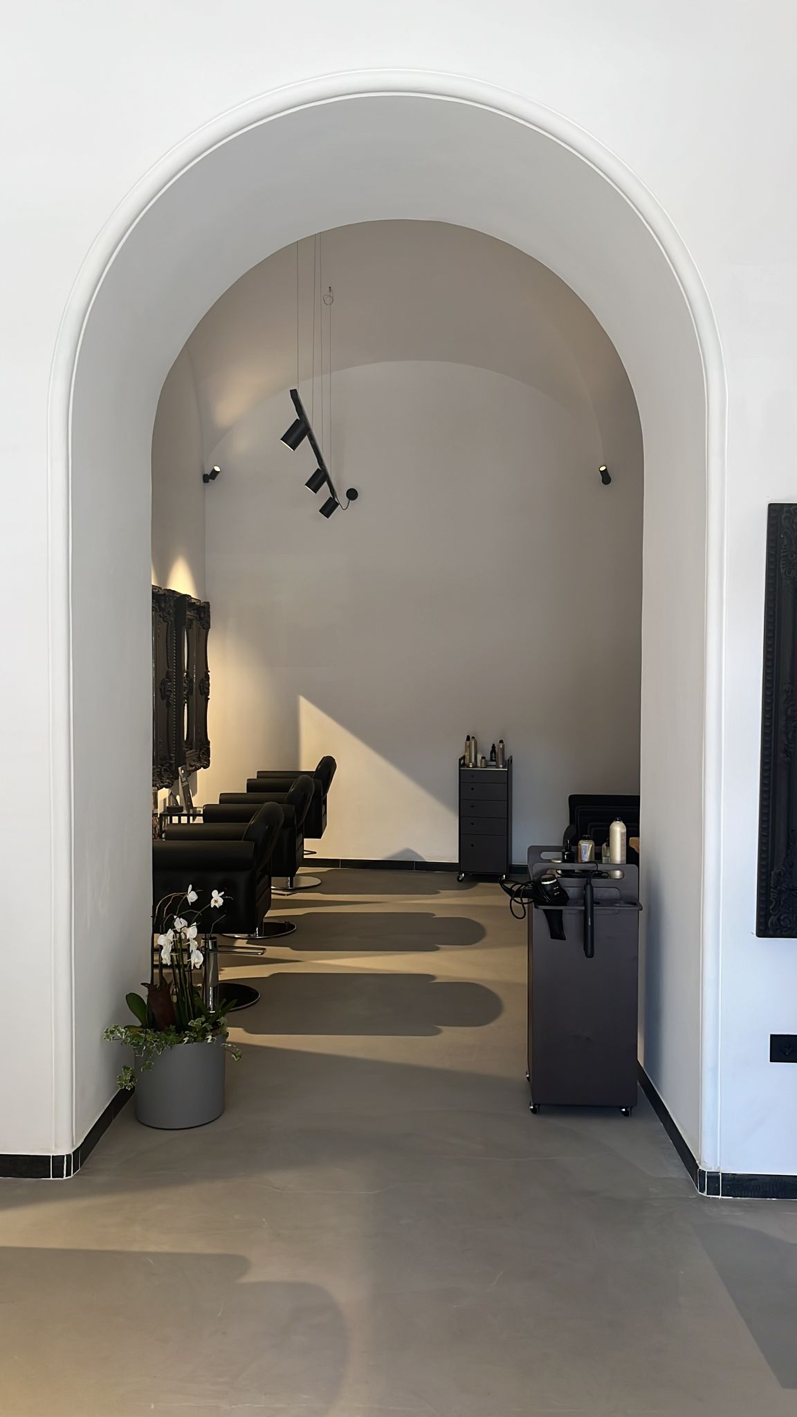 Area lavoro GREEN HAIR