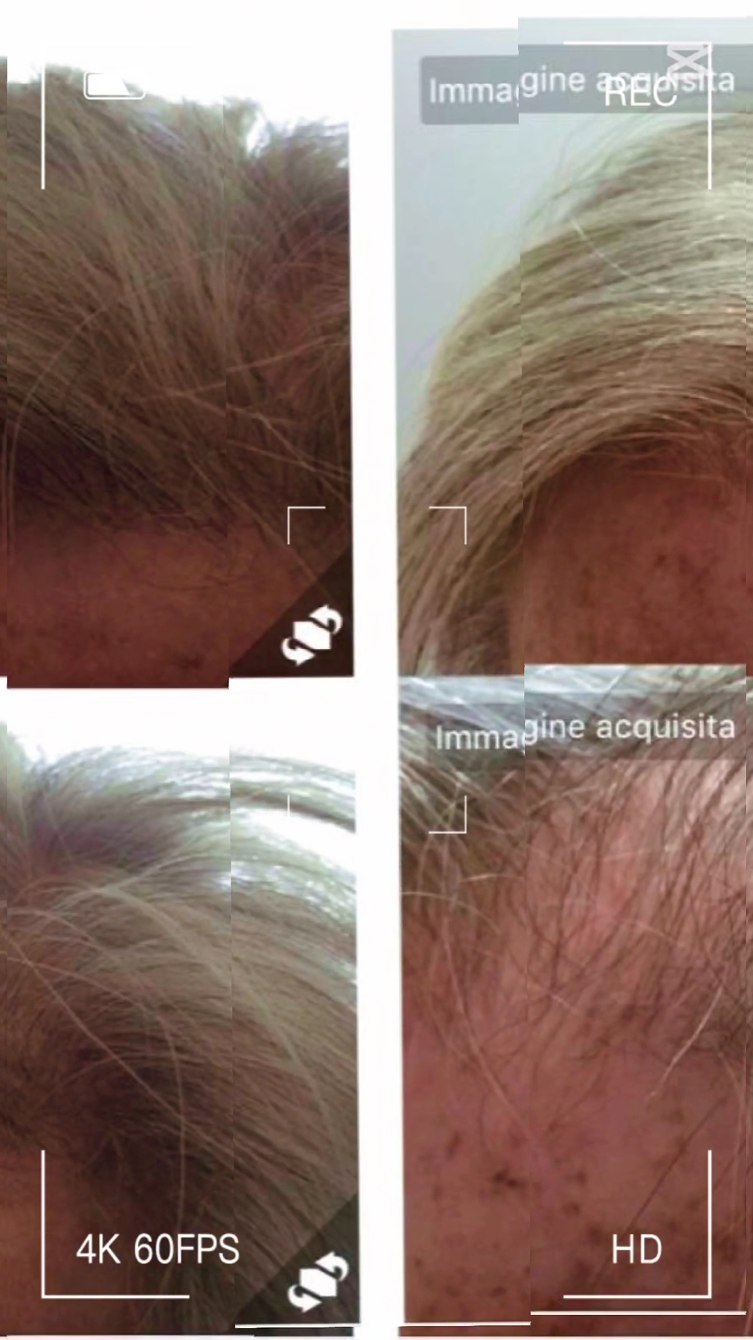 Interno salone Jacqueline